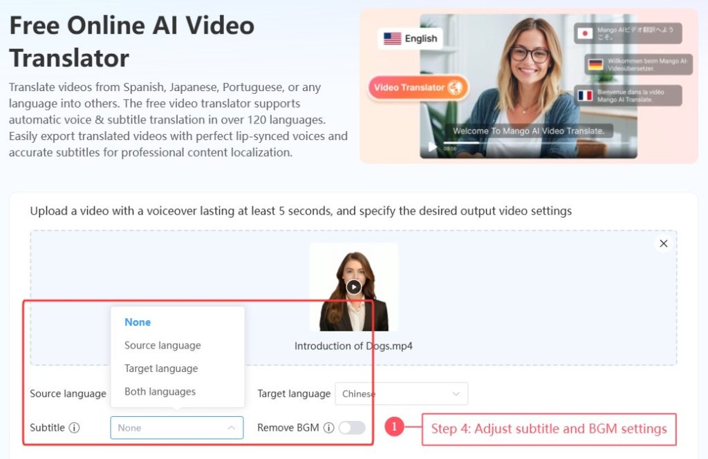 cómo traducir un vídeo