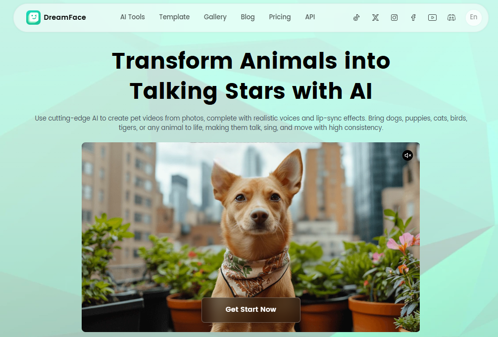 말하는 애완동물