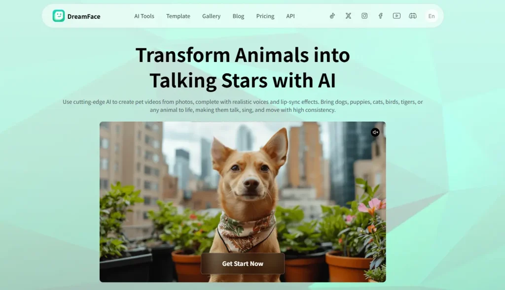 animal parlant dreamface