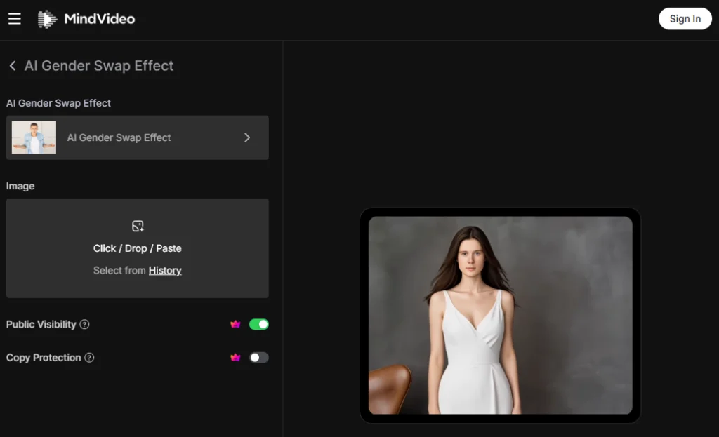 성별 전환 필터
