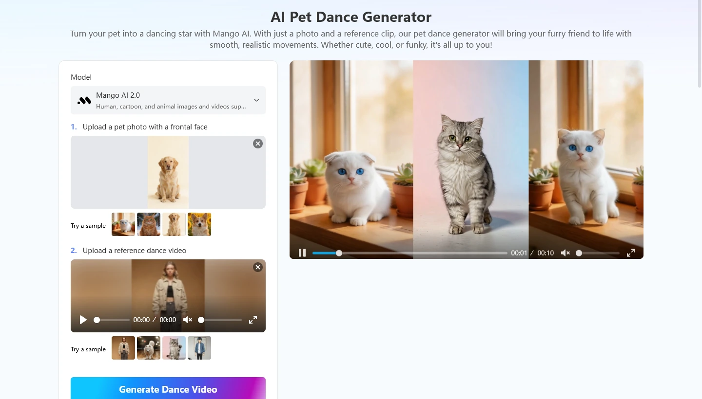 video kucing menari