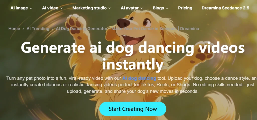 dansul câinelui ai, câinele dansator ai